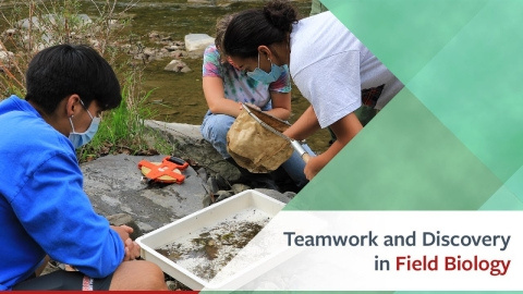 Video Titled – Teamwork and Discovery in Field Biology